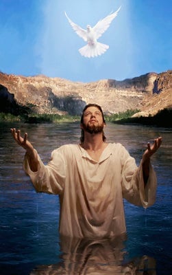 The True Light Of The World