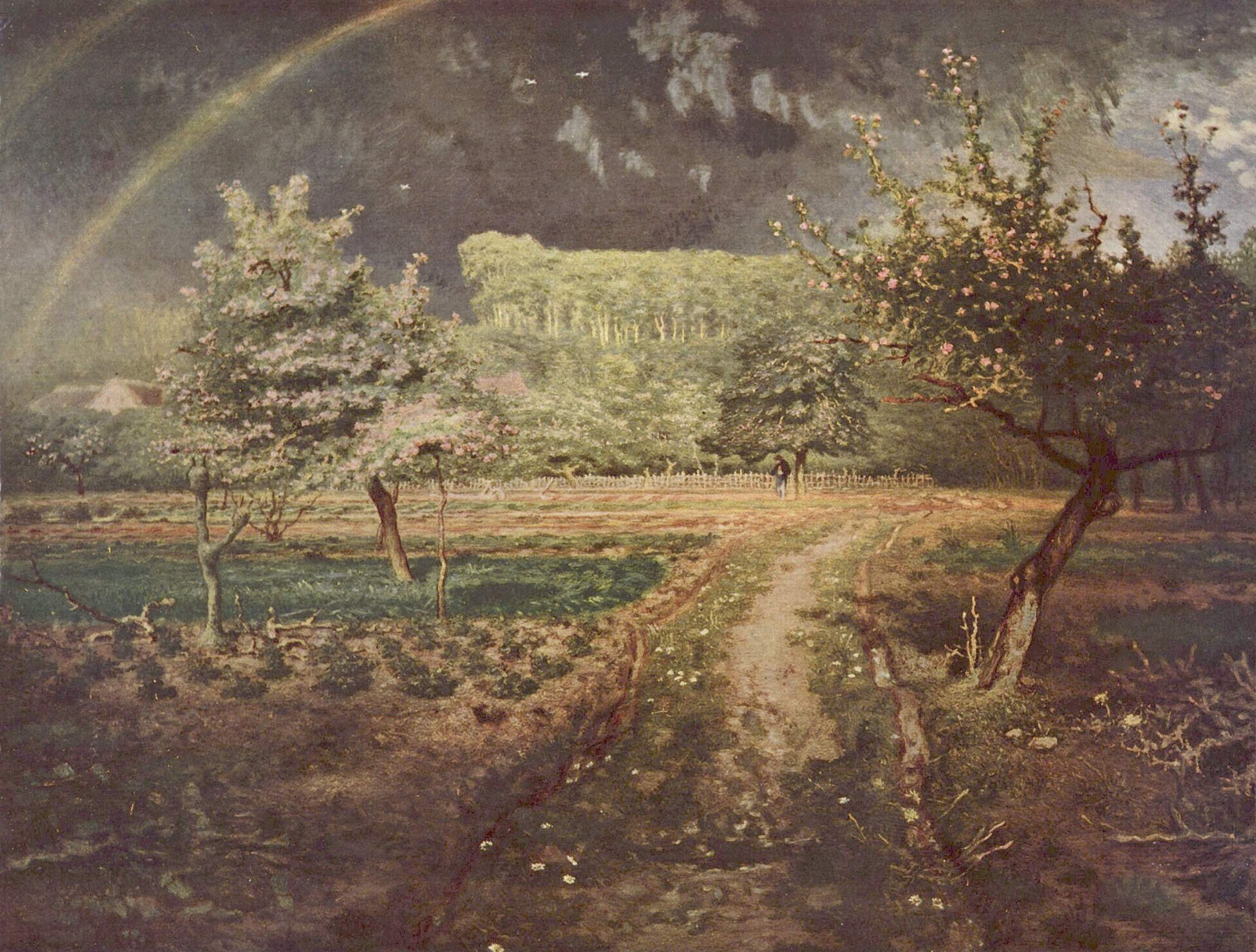 A rain-soaked garden path between blossoming fruit trees and freshly planted beds, with a rainbow arching across a dark storm sky