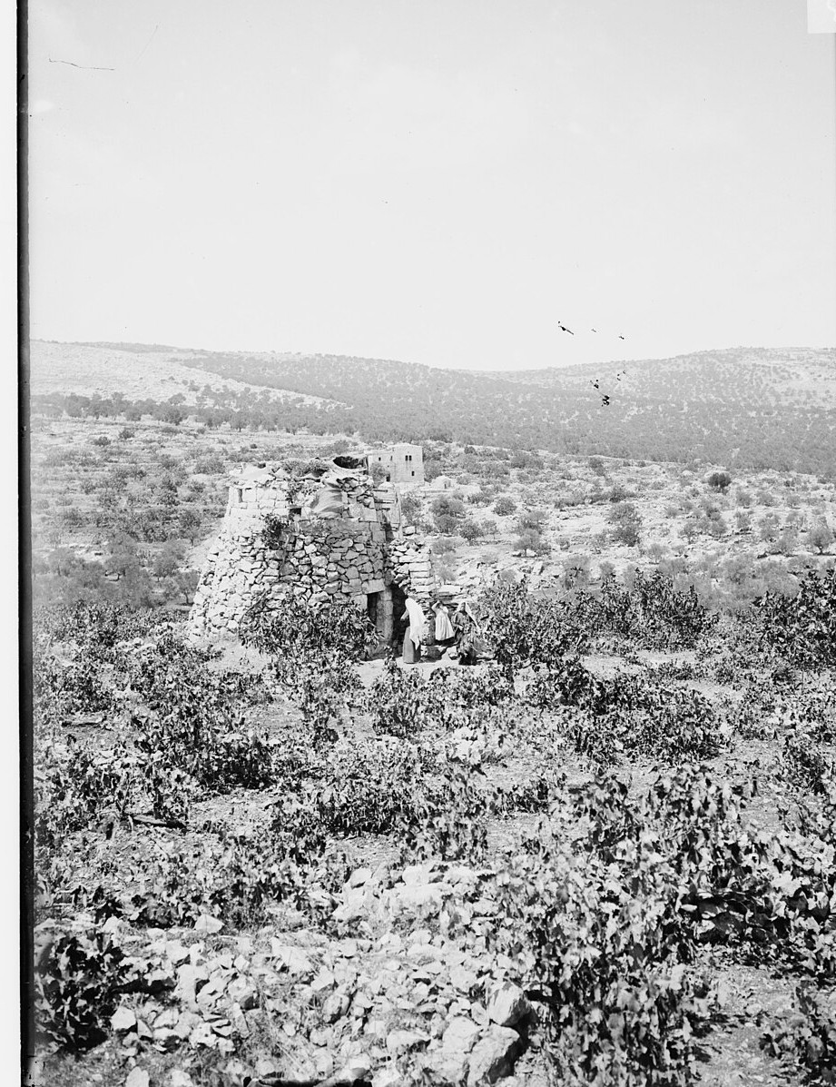 Watchman, What Of The Night? 1 A Matson Collection photograph of a stone watchtower in a vineyard -- "Watchman, what of the night?" (Isaiah 21:11)