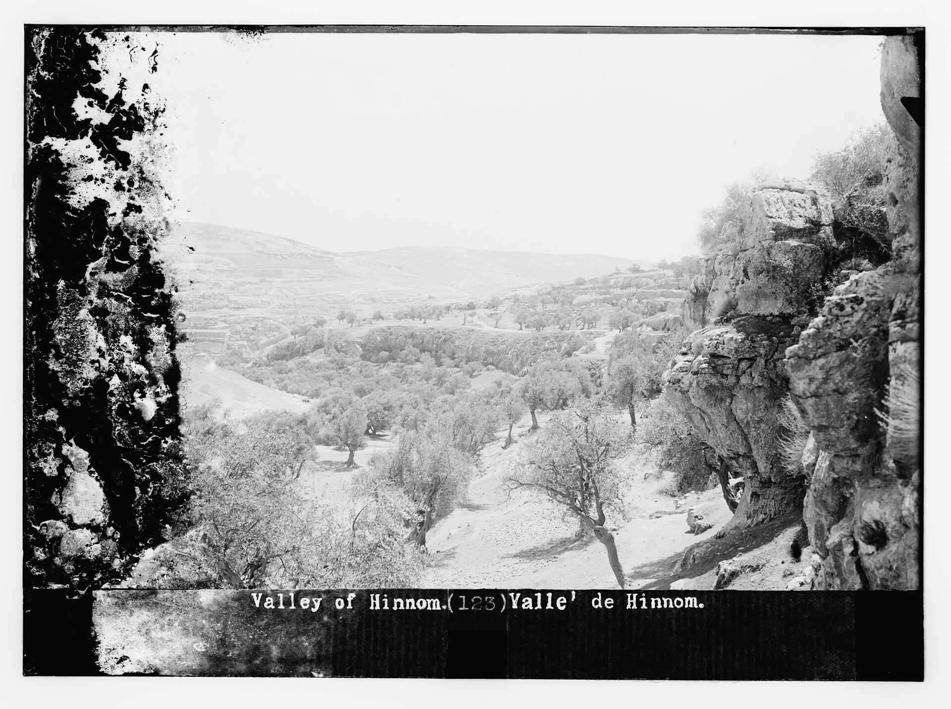 The Temple Of The LORD, Are These 1 Old black-and-white photograph looking down a rocky valley planted with scattered olive trees toward bare hills, with a cliff face on the right