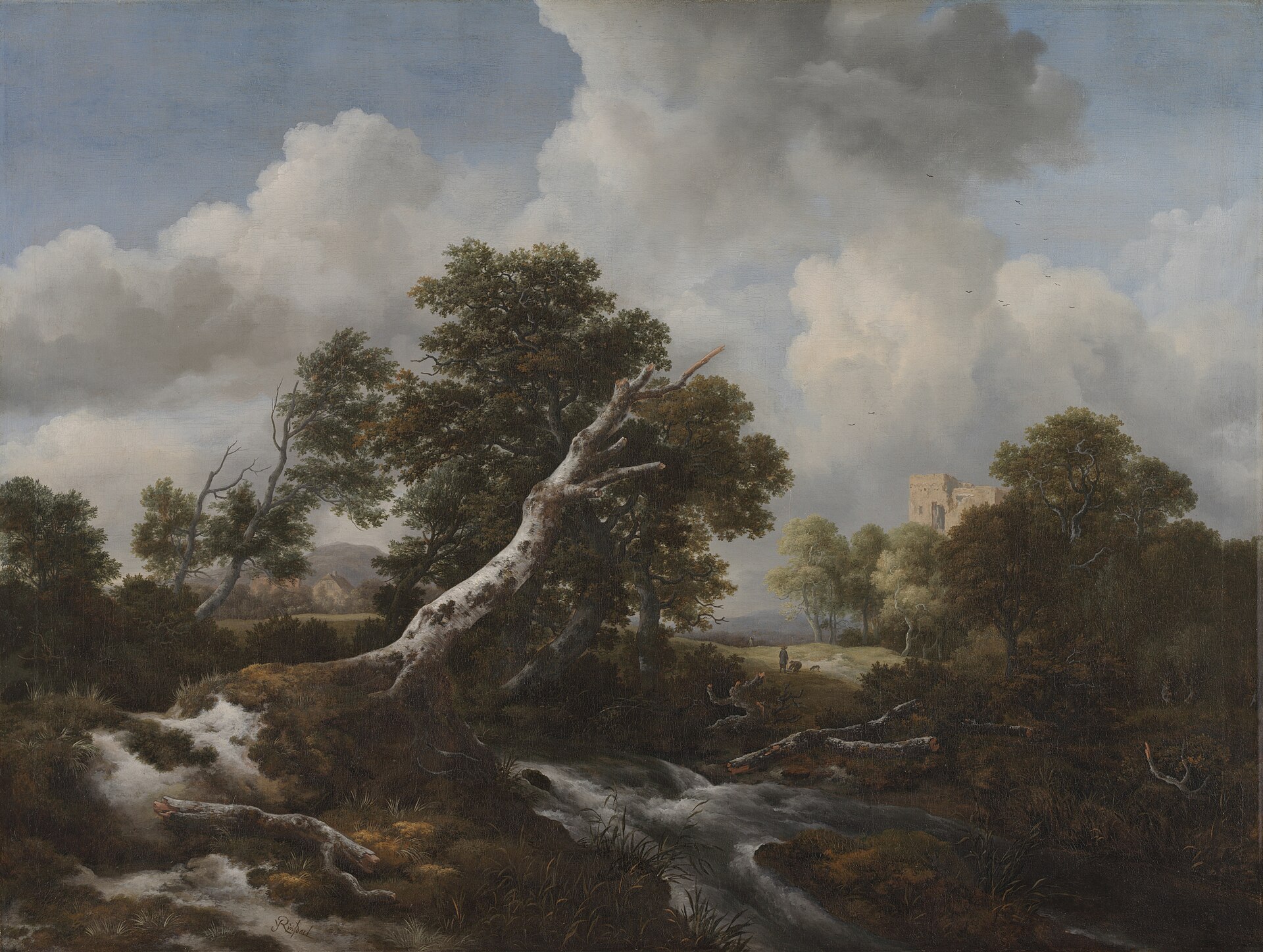 Seekest Thou Great Things For Thyself? 1 A pale, broken dead beech tree leans among living trees beside a rushing stream under towering clouds